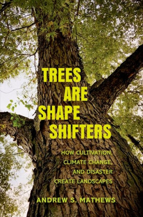 Trees Are Shape Shifters: How Cultivation, Climate Change, and Disaster Create Landscapes