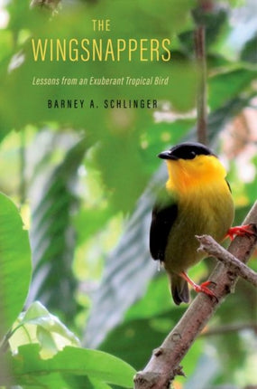 The Wingsnappers: Lessons from an Exuberant Tropical Bird