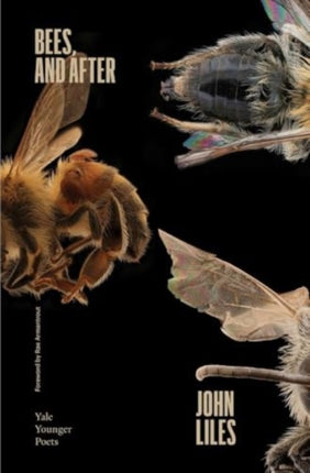 Bees and After