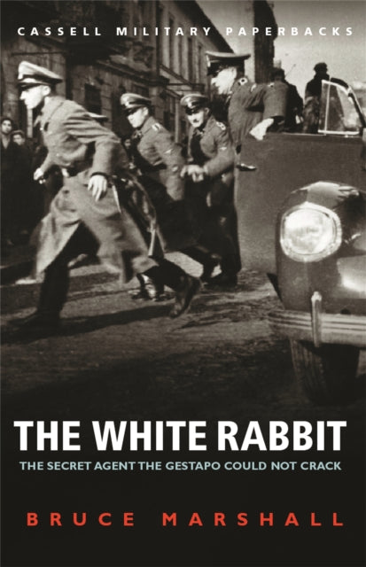 The White Rabbit