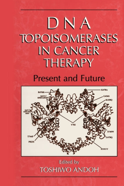 DNA Topoisomerases in Cancer Therapy Present and Future