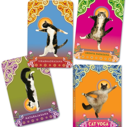 Cat Yoga Postcards