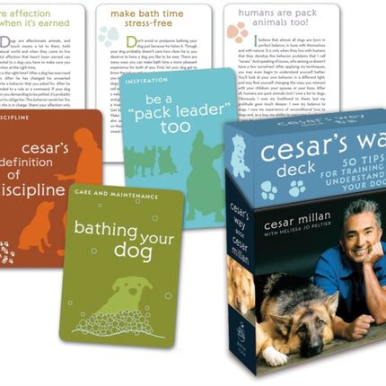 Cesar's Way Deck: 50 Tips for Training and Understanding Your Dog