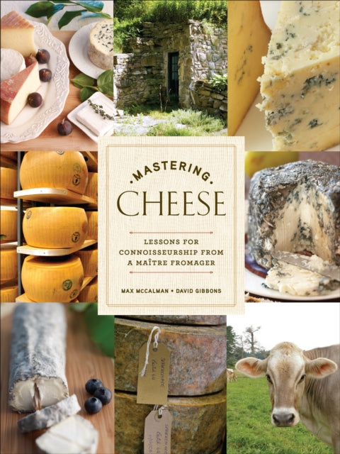 Mastering Cheese Lessons for Connoisseurship from