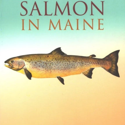 Atlantic Salmon in Maine