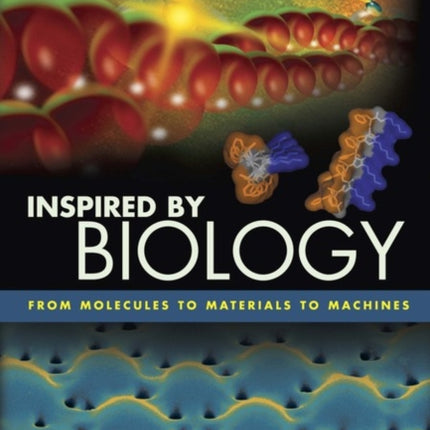Inspired by Biology From Molecules to Materials