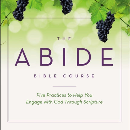 The Abide Bible Course Video Study