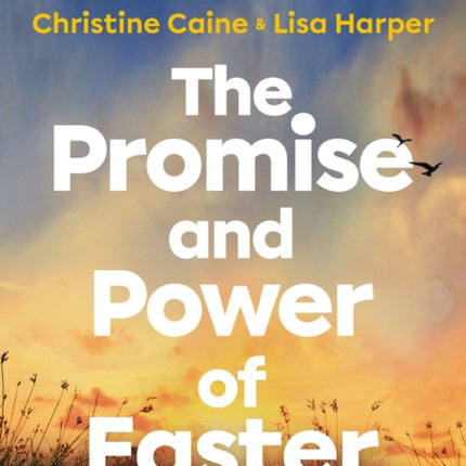 The Promise and Power of Easter Video Study