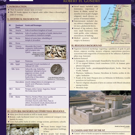 Survey of the New Testament Laminated Sheet