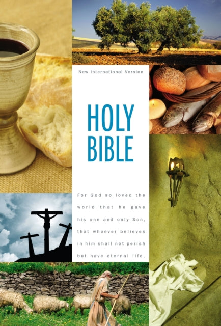 NIV, Holy Bible Textbook Edition, Hardcover