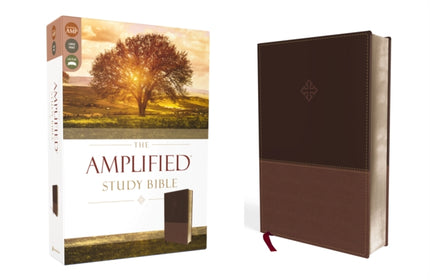 The Amplified Study Bible, Leathersoft, Brown