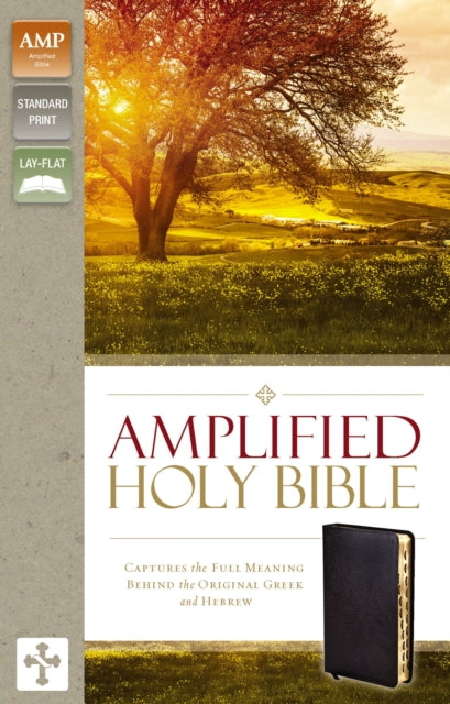 Amplified Holy Bible Bonded Leather Black Thumb