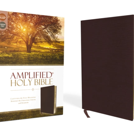Amplified BibleAm
