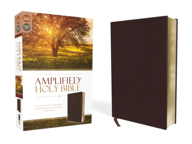 Amplified BibleAm