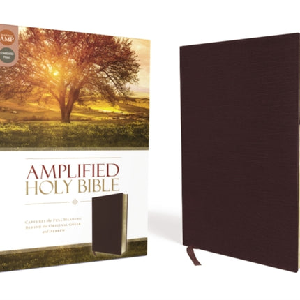 Amplified Holy Bible, Bonded Leather, Burgundy, Thumb Indexed: Captures the Full Meaning Behind the Original Greek and Hebrew