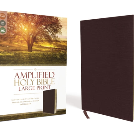 Amplified Holy Bible Large Print Bonded Leather