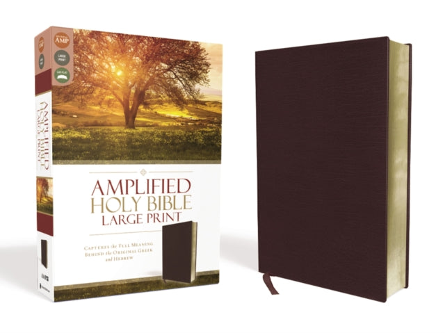 Amplified Holy Bible Large Print Bonded Leather