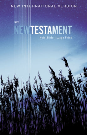 NIV Outreach New Testament Large Print Paperback