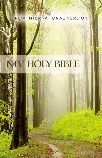 NIV Value Outreach Bible Paperback