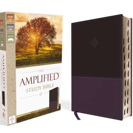 The Amplified Study Bible, Leathersoft, Purple, Thumb Indexed