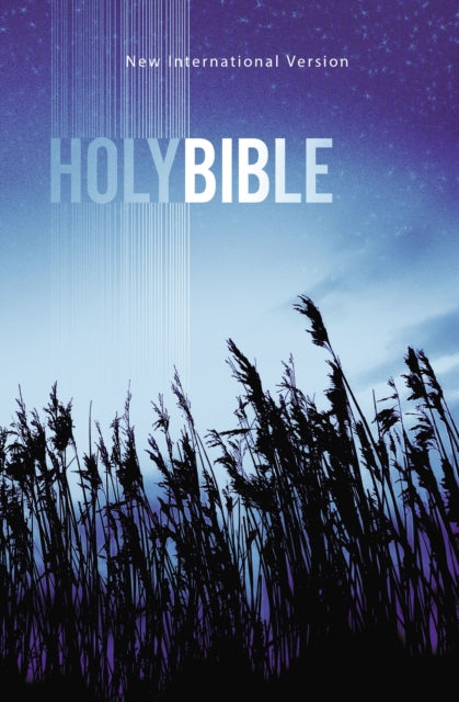 NIV Value Outreach Bible Paperback