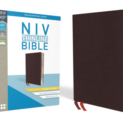 NIV, Thinline Bible, Giant Print, Bonded Leather, Burgundy, Red Letter, Thumb Indexed, Comfort Print