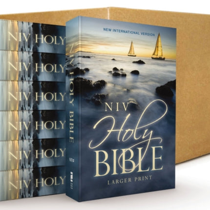 NIV Holy Bible Larger Print Economy Edition