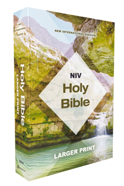 NIV Holy Bible Larger Print Economy Edition