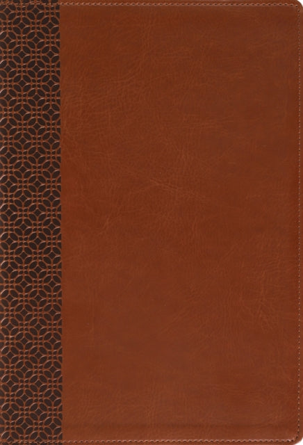 Amplified Holy Bible Large Print Leathersoft Brown
