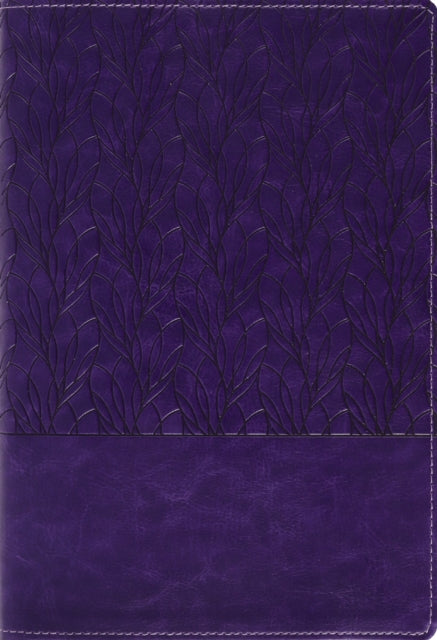 Amplified Holy Bible Large Print Leathersoft Purple