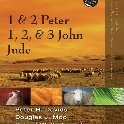 1 and 2 Peter Jude 1 2 and 3 John