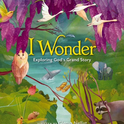 I Wonder: Exploring God's Grand Story: an Illustrated Bible