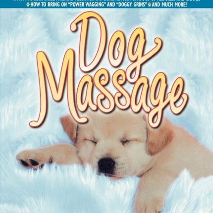 Dog Massage A WhiskersToTail Guide to Your Dogs