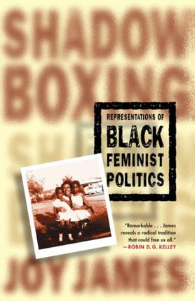 Shadow Boxing Black Feminist Politics