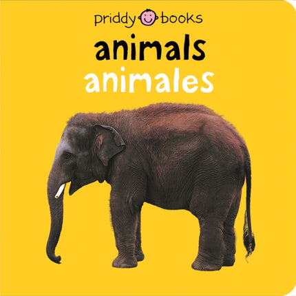 Bilingual Bright Baby Animals: Animales