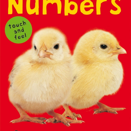 Numbers