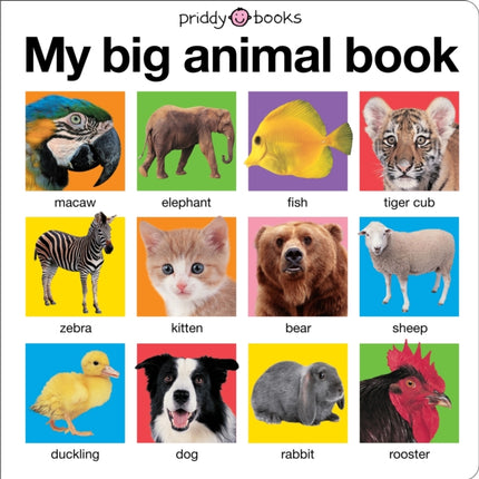 My Big Animal Book