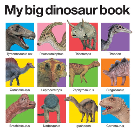 My Big Dinosaur Book