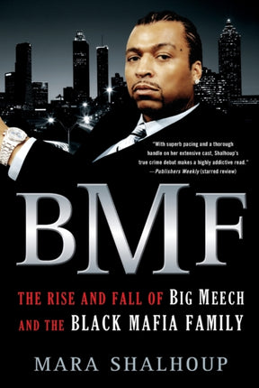 BMF: The Rise and Fall of the Big Meech and the Black Mafia Family