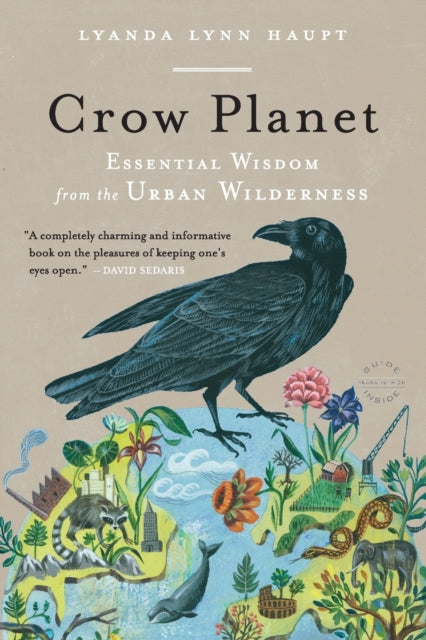 Crow Planet Essential Wisdom from the Urban Wilderness