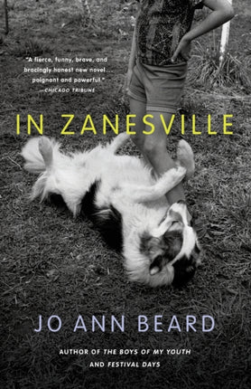 In Zanesville A Novel