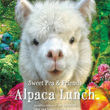 Alpaca Lunch