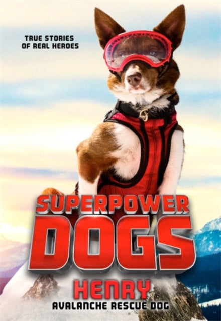 Superpower Dogs Henry