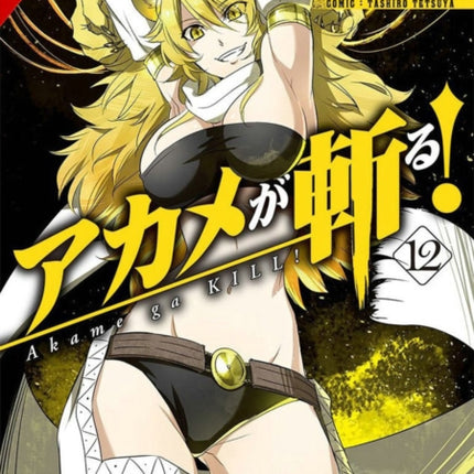 Akame ga KILL!, Vol. 12