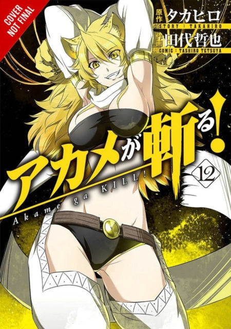 Akame ga KILL!, Vol. 12