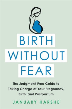 Birth Without Fear The JudgmentFree Guide to