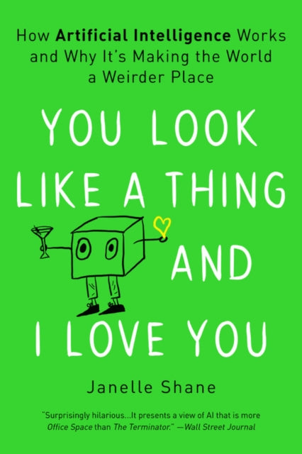 You Look Like a Thing and I Love You: How Artificial Intelligence Works and Why It's Making the World a Weirder Place