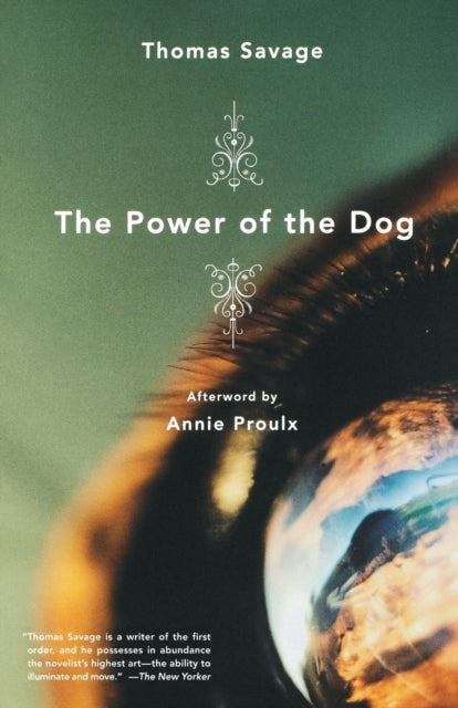 Power of the Dog