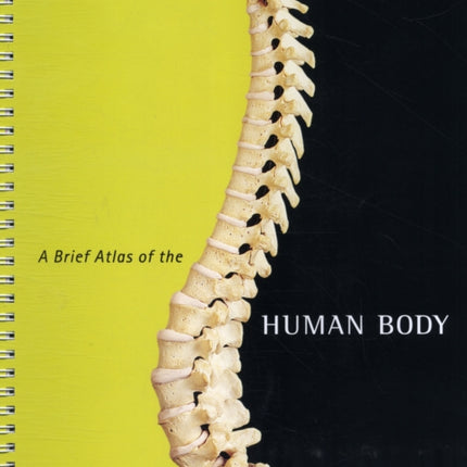 Brief Atlas of the Human Body, A