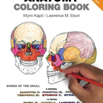 Anatomy Coloring Book, The